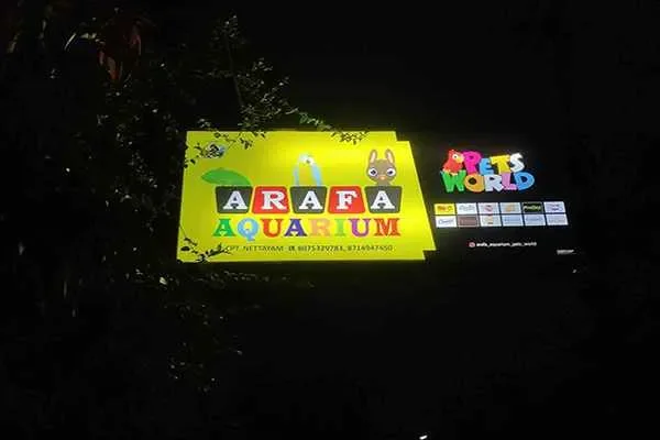 Image of: ARAFA Aquarium and Pet's World